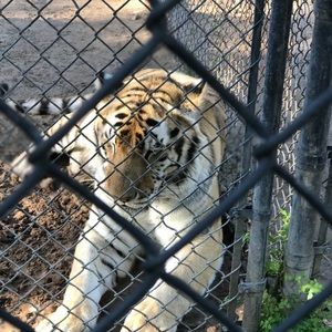 Meet your Posher, Krystal